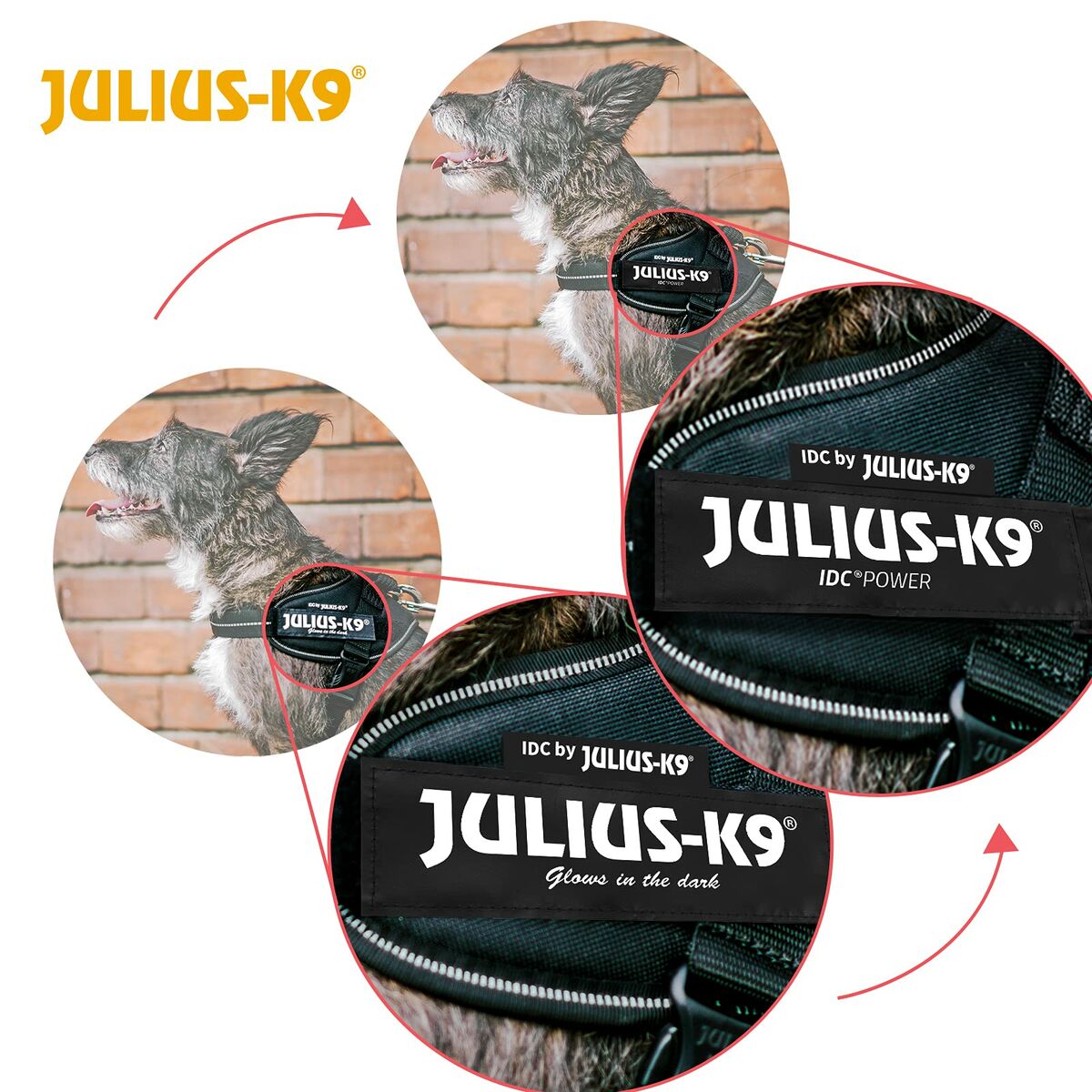 Ham pentru câini Julius K9 IDC Galben M/L